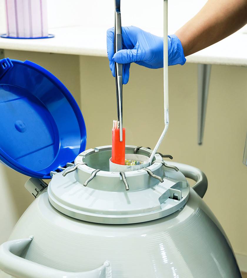 Egg Freezing in India